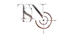 TaylorSNewport